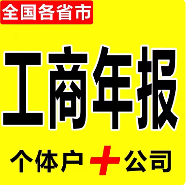 工商年报